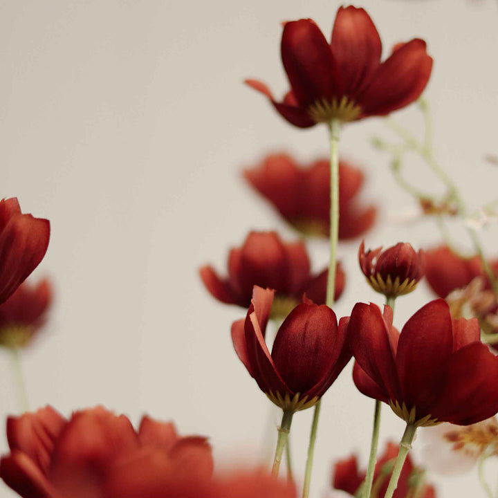CALLIOPSIS SPRAY, RUST RED