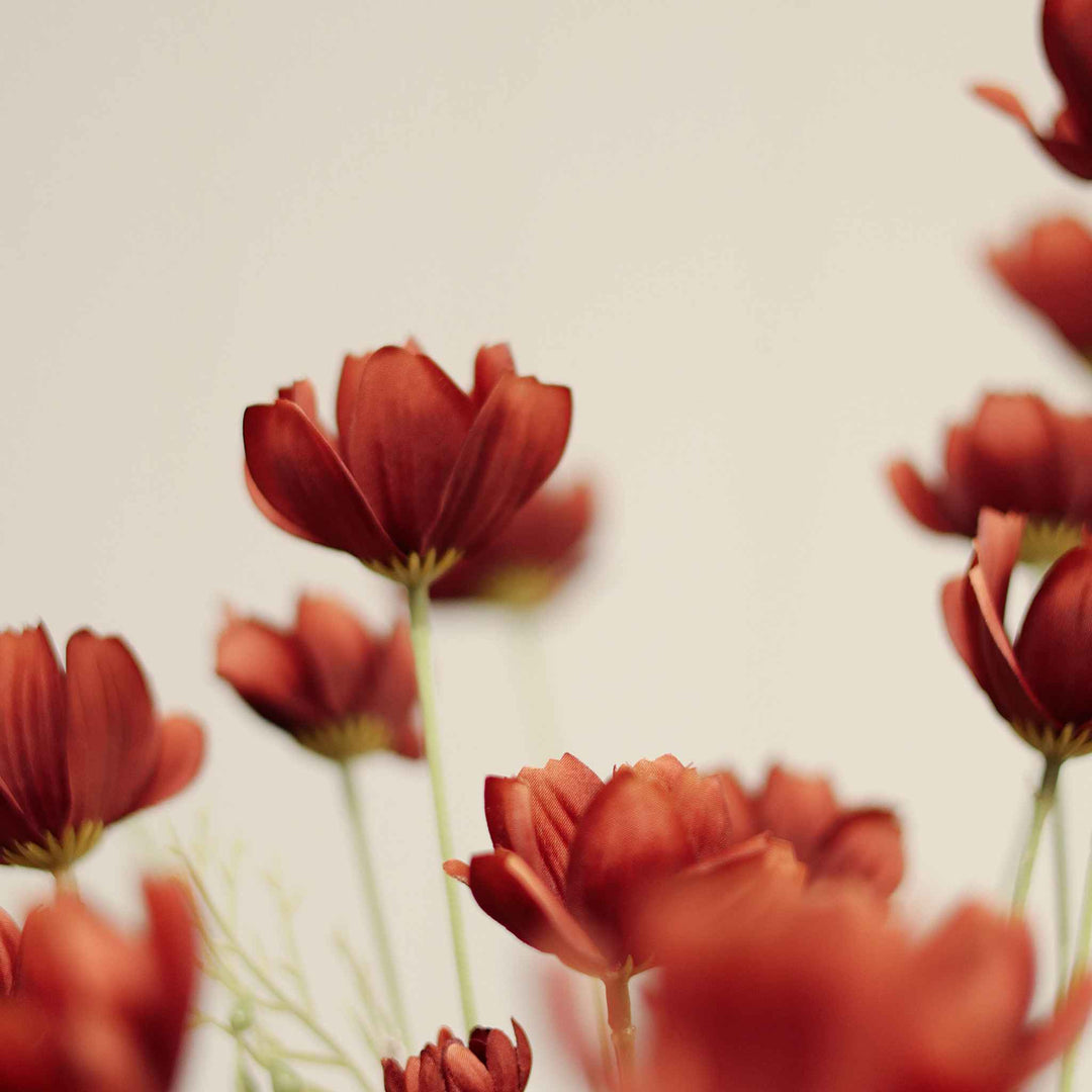 CALLIOPSIS SPRAY, RUST RED