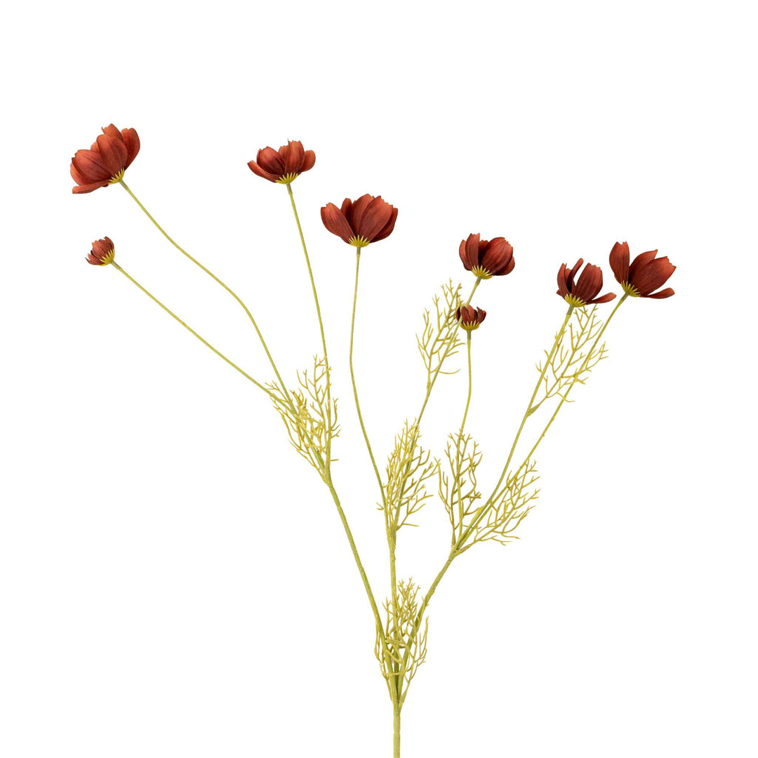 CALLIOPSIS SPRAY, RUST RED
