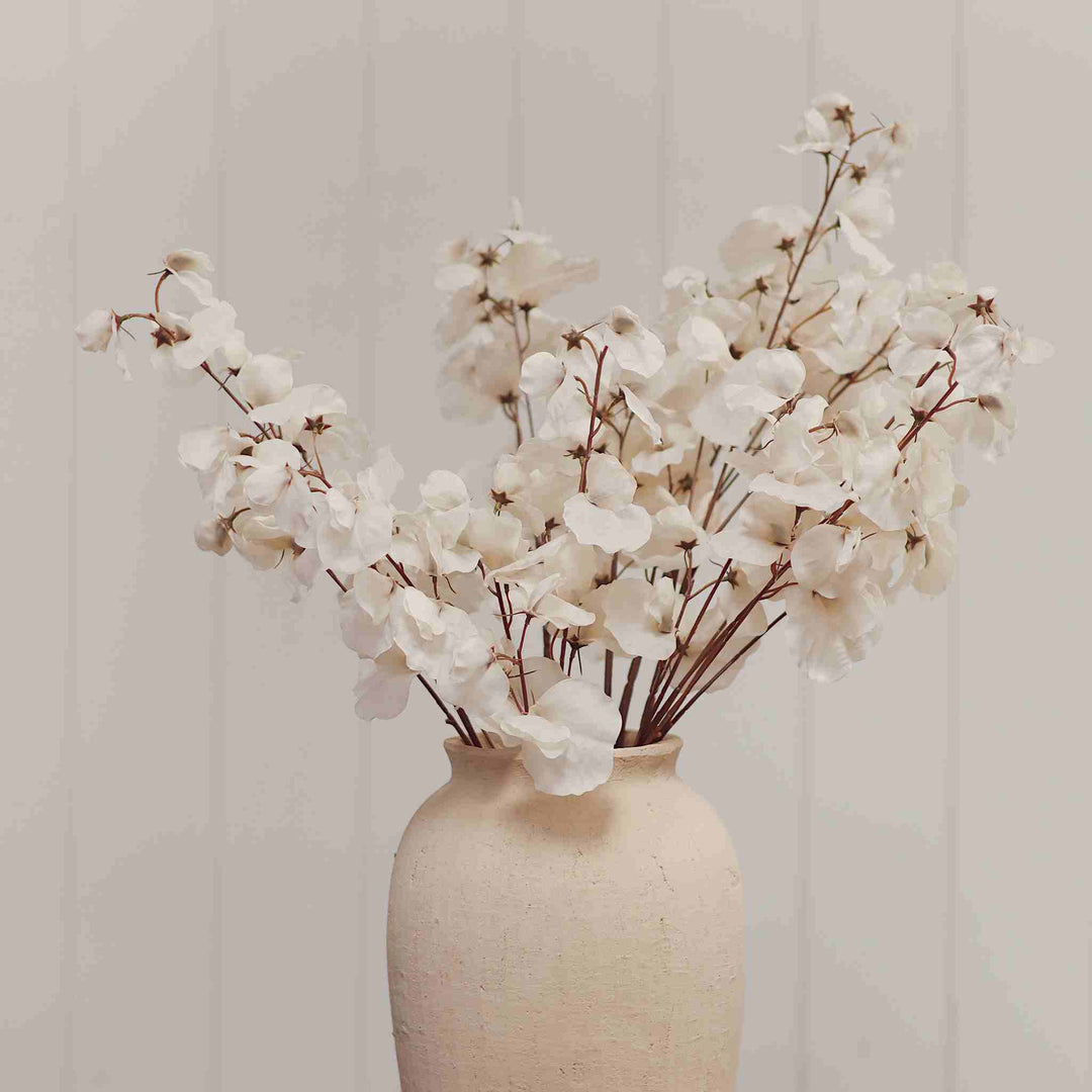 SWEET PEA STEM