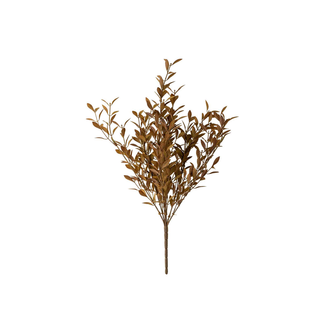 WILLOW LEAF SPRAY, HARVEST