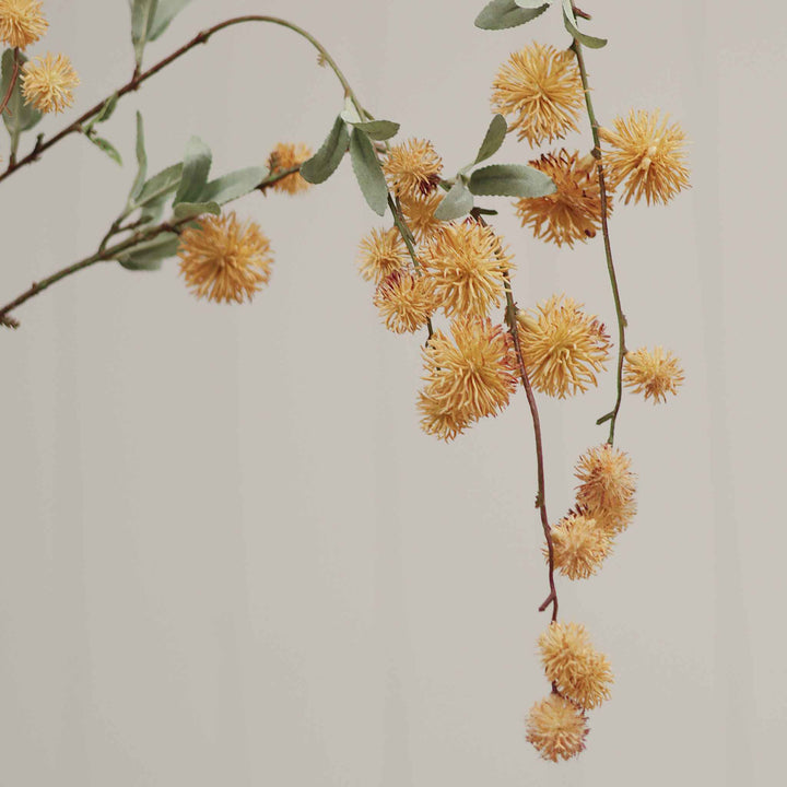 GOLDEN GLOBE FLOWER SPRAY