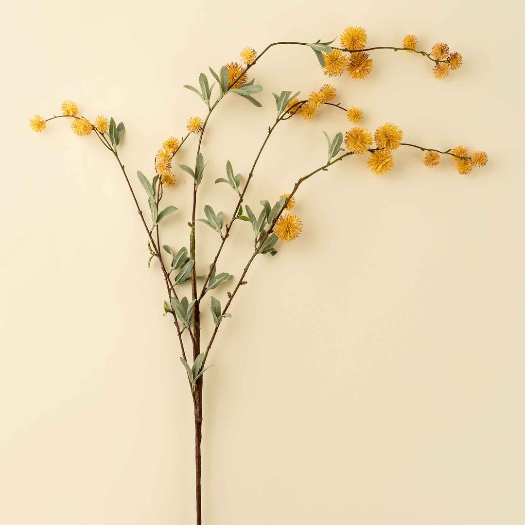 GOLDEN GLOBE FLOWER SPRAY