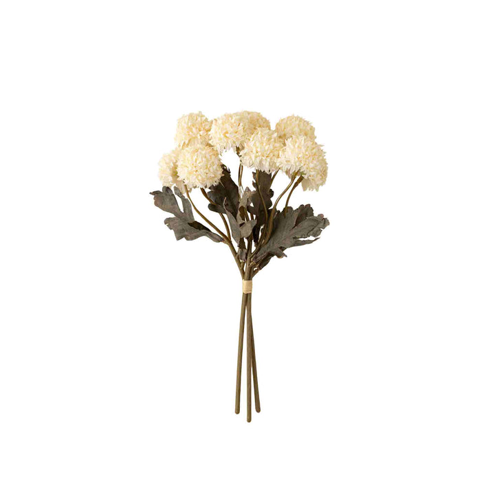 MORANDI BLOOM BOUQUET, CREAM