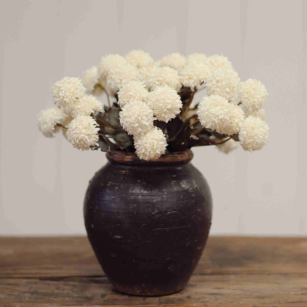 MORANDI BLOOM BOUQUET, CREAM