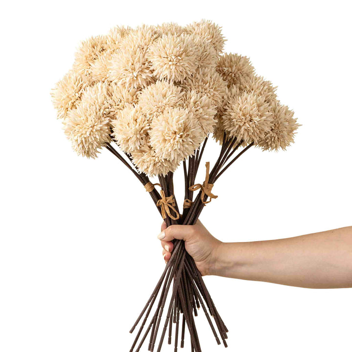 MINI ALIUM BOUQUET, CREAM