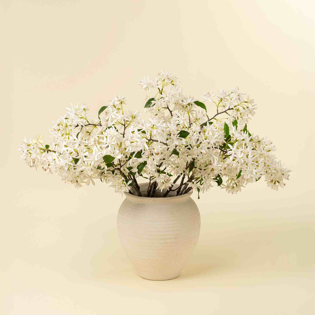 STAR MAGNOLIA BRANCH