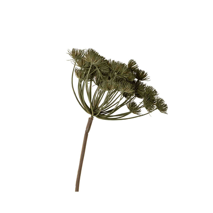 WILD ANGELICA STEM, GREEN