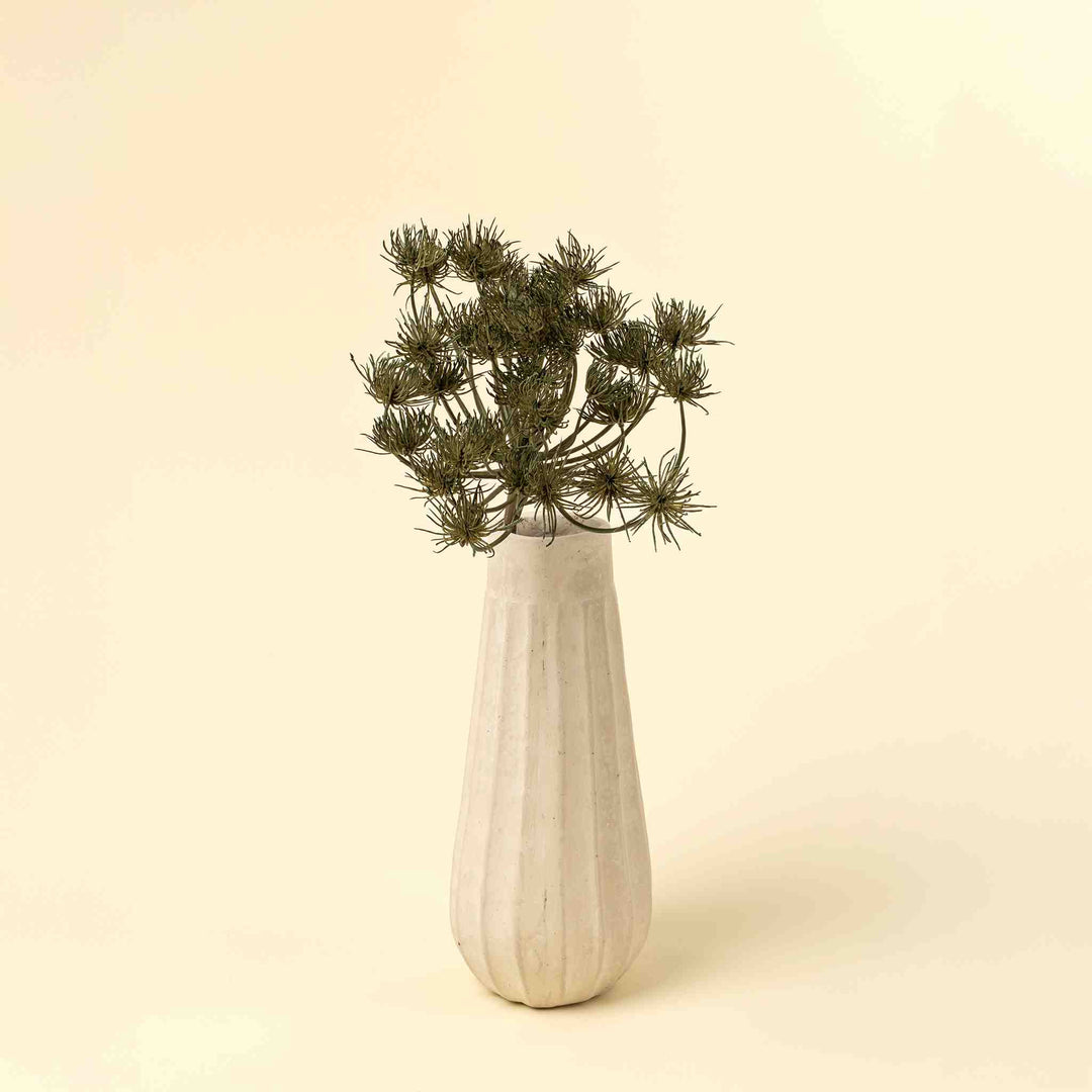 WILD ANGELICA STEM, GREEN