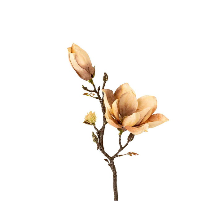 MAGNOLIA BRANCH, CREAM