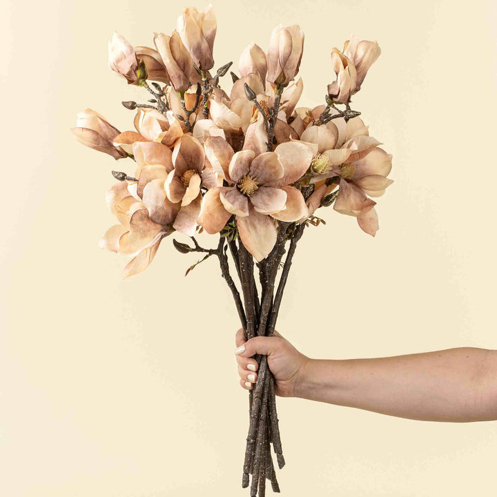 MAGNOLIA BRANCH, CREAM