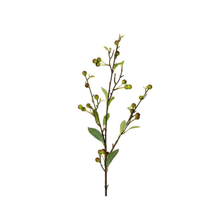 HYPERICUM BERRY SPRAY