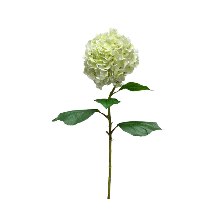 LARGE HEAD HYDRANGEA SPRAY