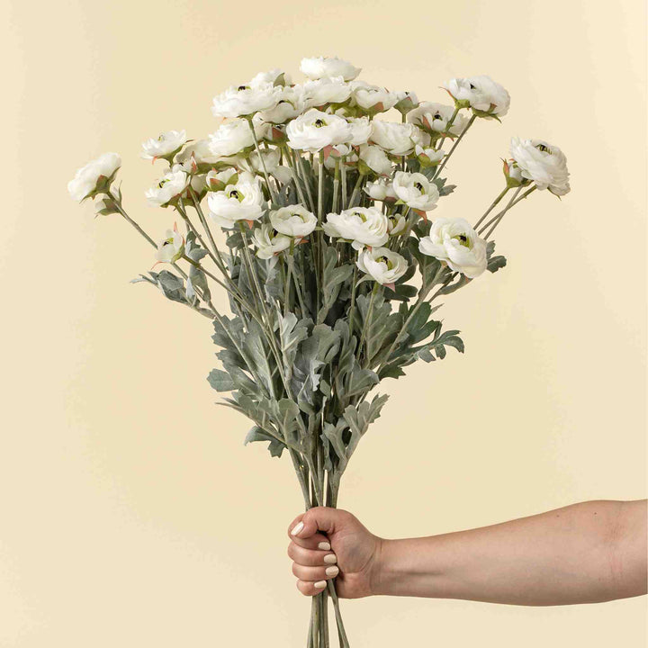 RANUNCULUS SPRAY, WHITE