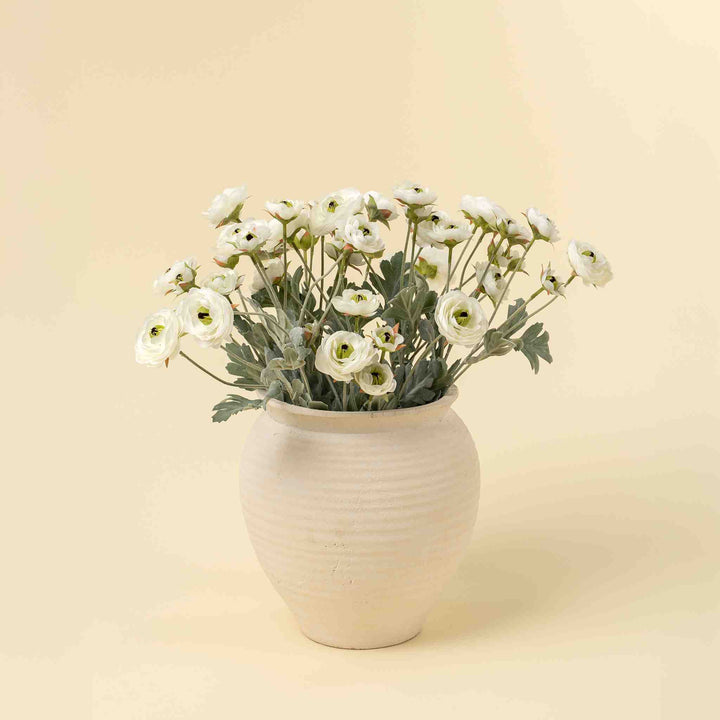 RANUNCULUS SPRAY, WHITE