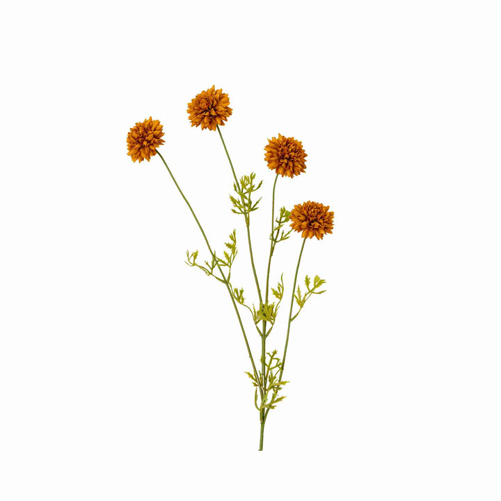 MINI CHRISANTHEMUM, BROWN