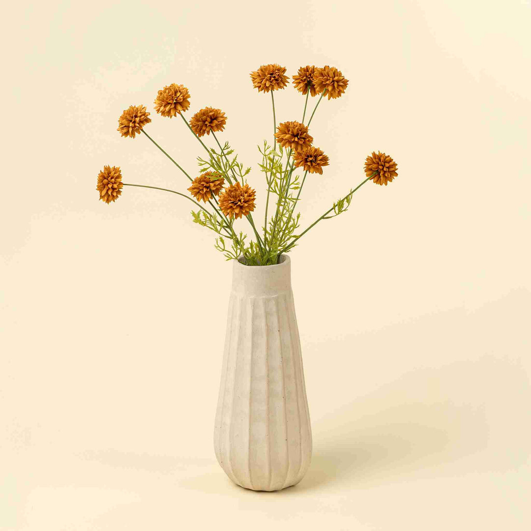 MINI CHRISANTHEMUM, BROWN