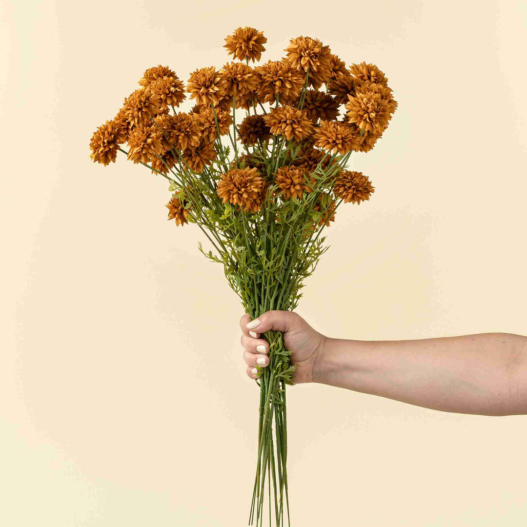 MINI CHRISANTHEMUM, BROWN