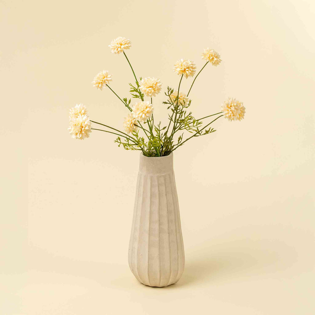 MINI CHRYSANTHEMUM, CREAM