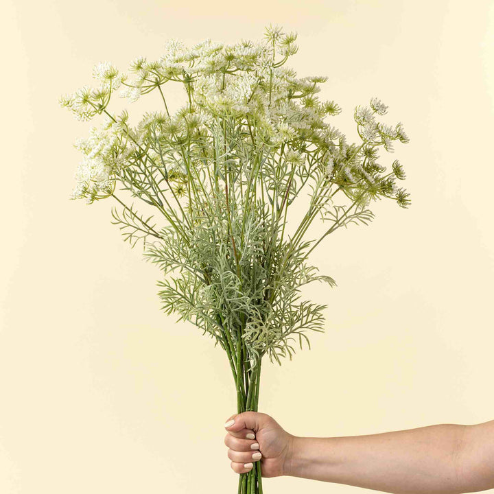 QUEEN ANNE'S LACE SPRAY, WHITE