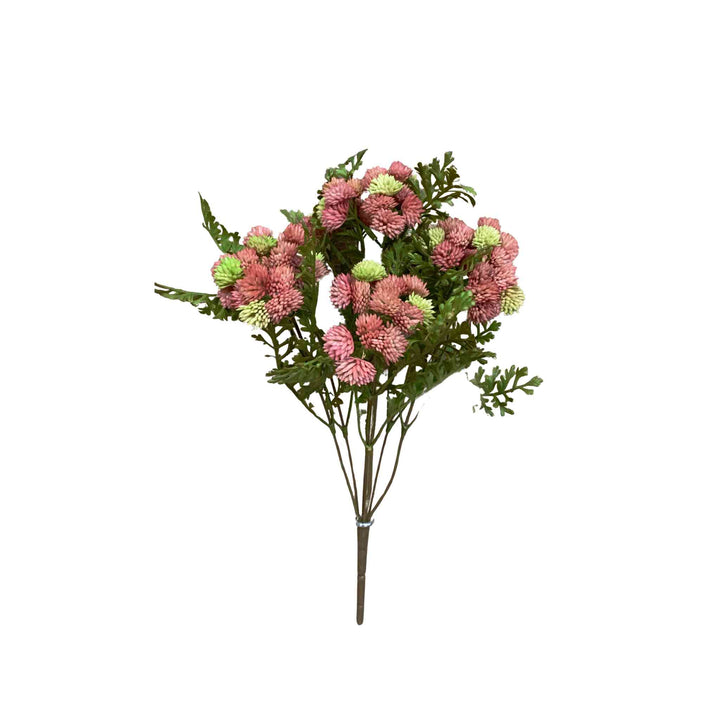 BLUSH TOUCH SEDUM CLUSTER BUNDLE