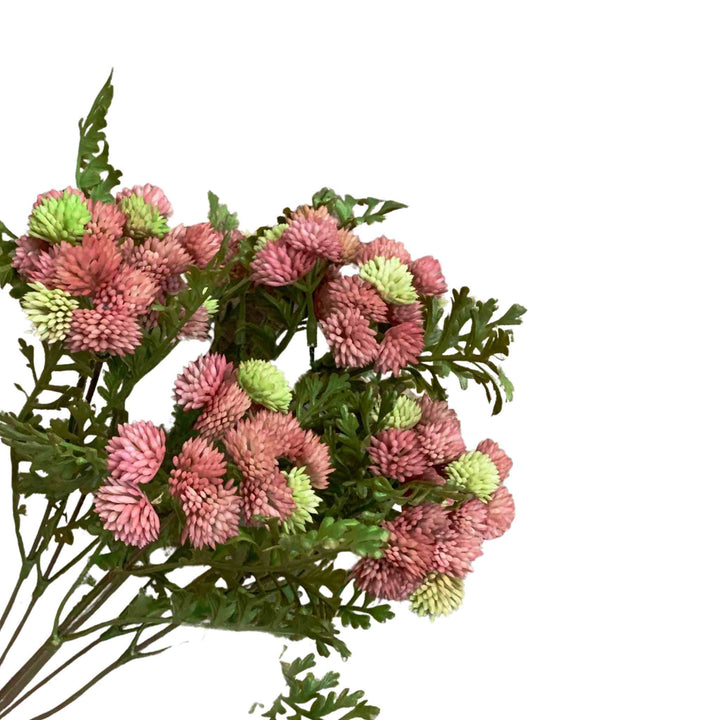 BLUSH TOUCH SEDUM CLUSTER BUNDLE