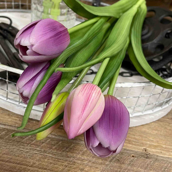 TULIP BUNDLE, LAVENDER WHITE