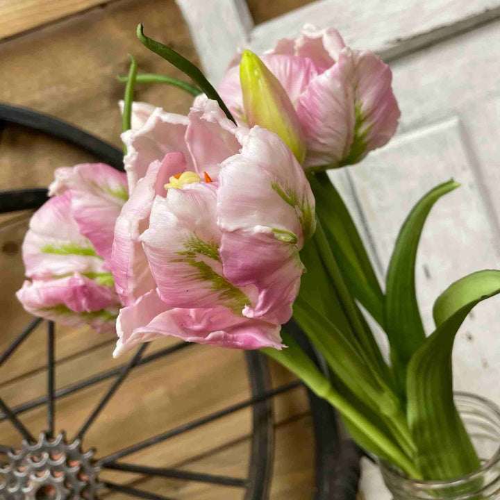 LAVENDER PARROT TULIP BUNDLE