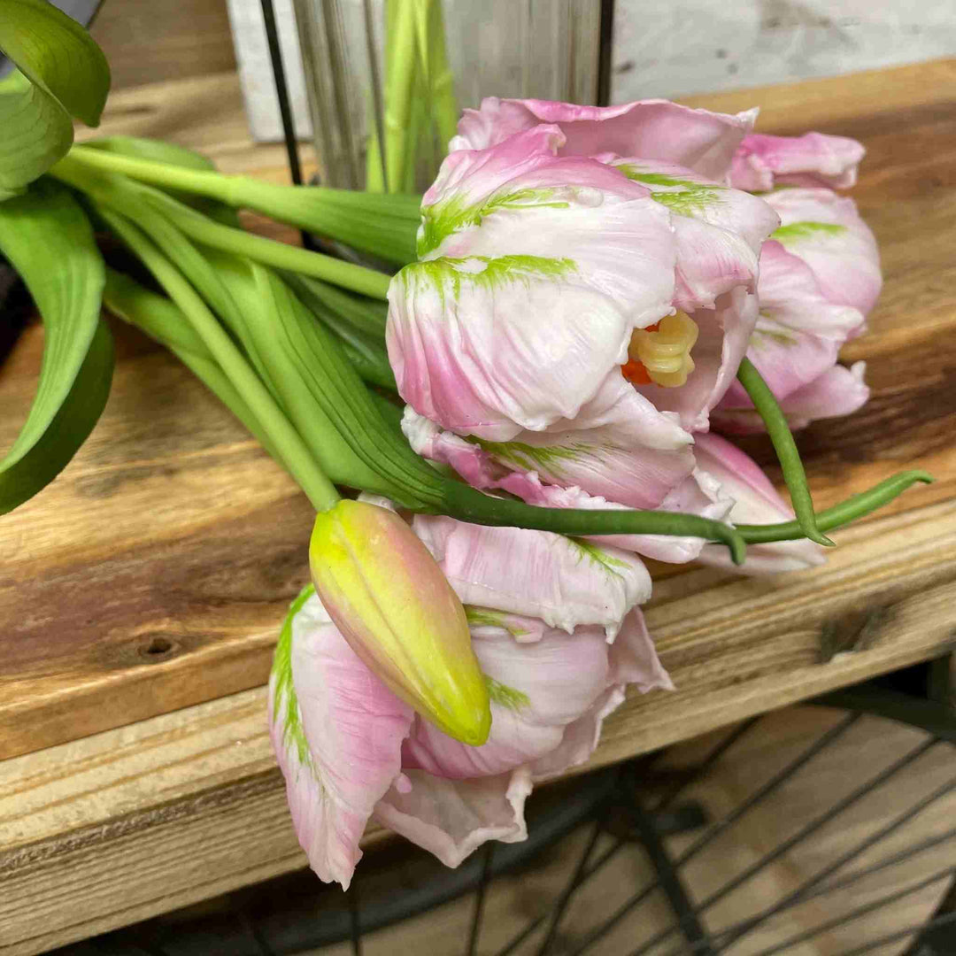 LAVENDER PARROT TULIP BUNDLE