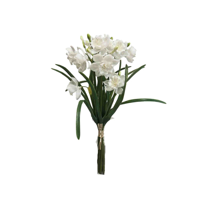 WHITE PAPERWHITE BUNDLE