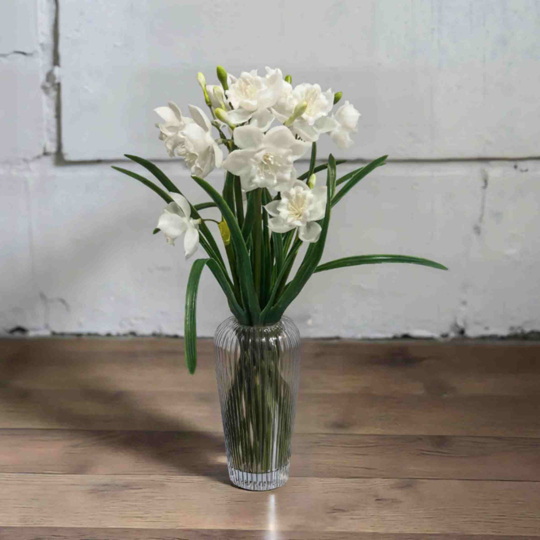 WHITE PAPERWHITE BUNDLE