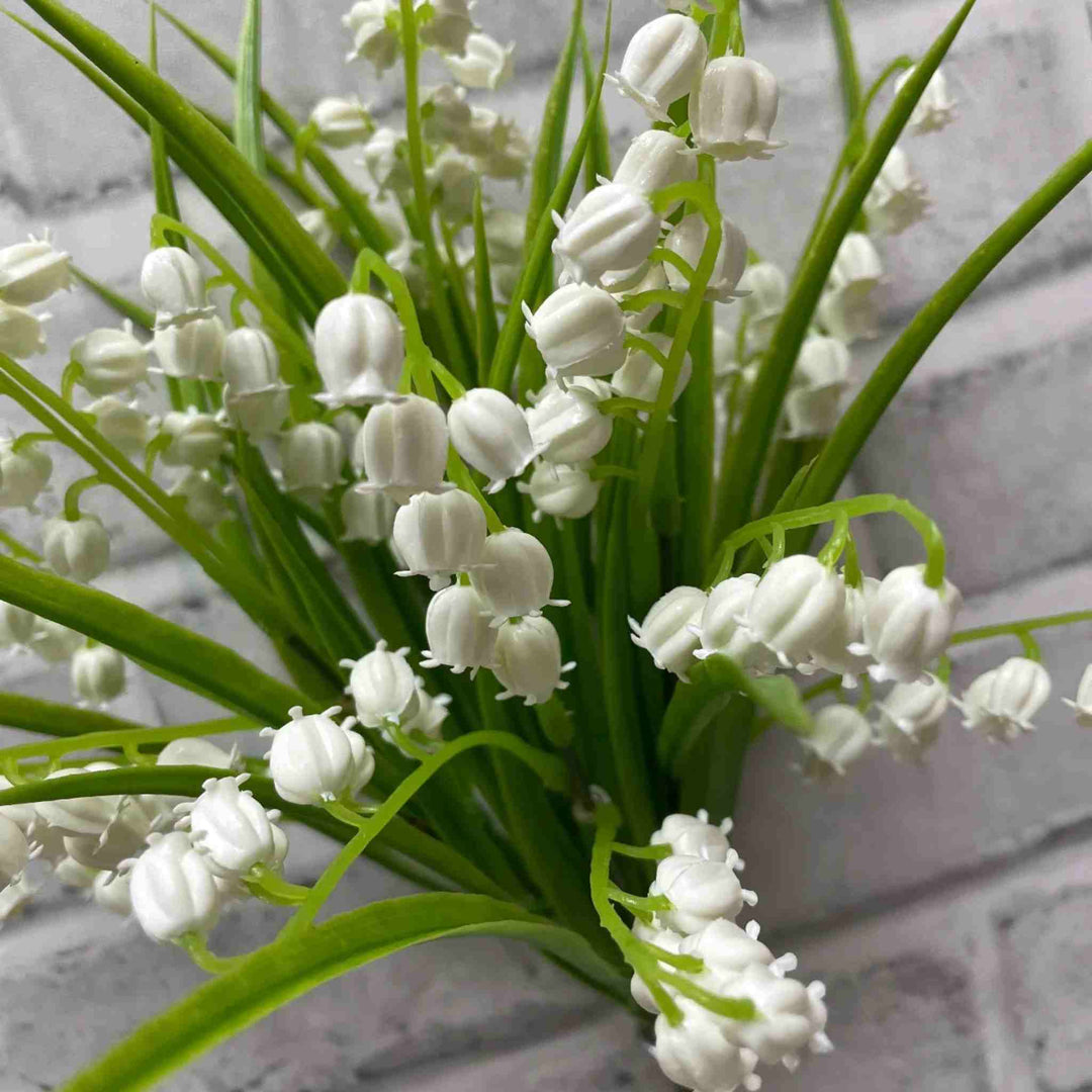 LILY OF THE VALLEY BUSH