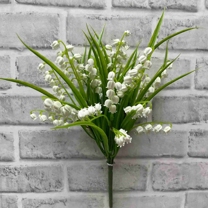 LILY OF THE VALLEY BUSH