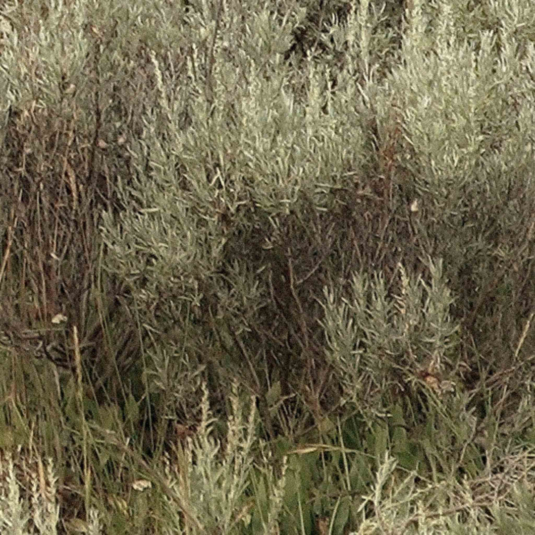 SAGEBRUSH HILLS II, FRAMED ART