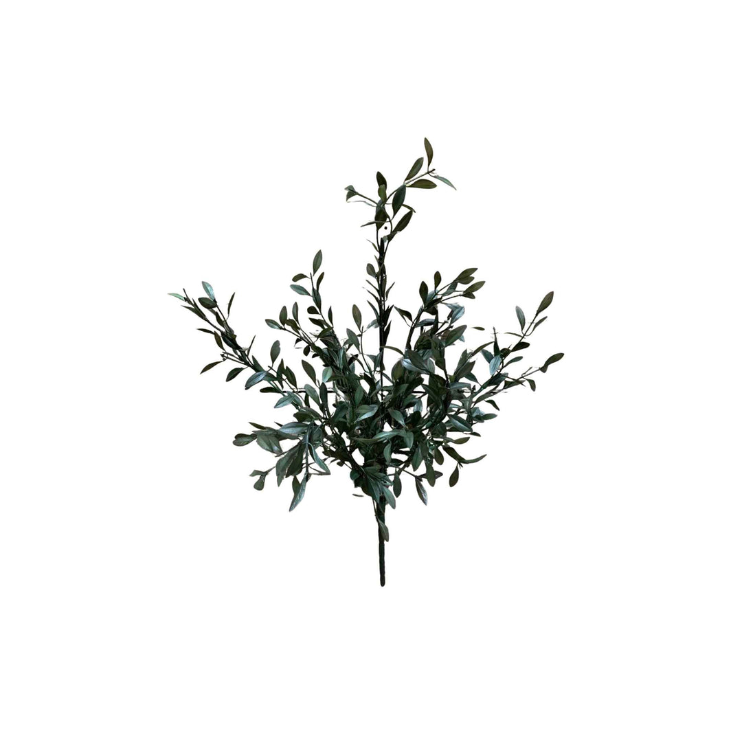 WILLOW STEM, GREEN