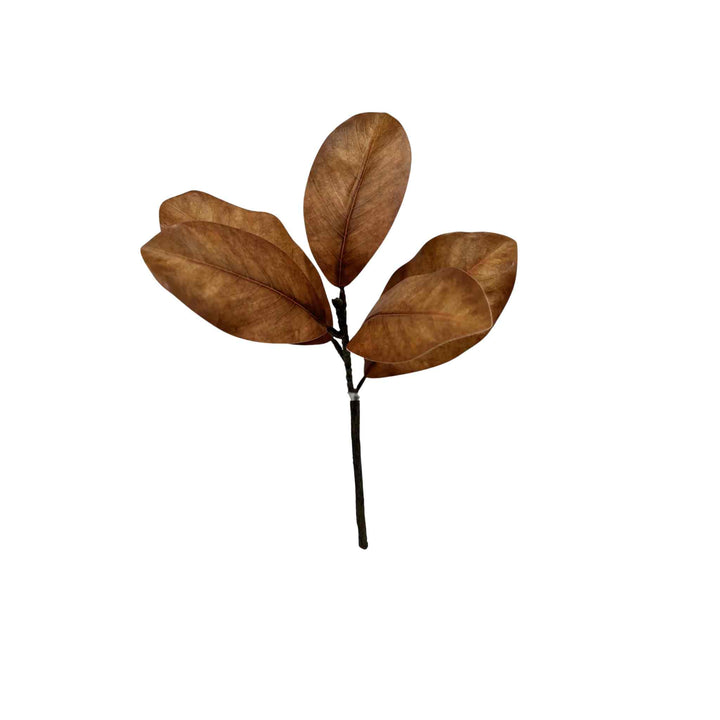 MAGNOLIA SPRAY, BROWN