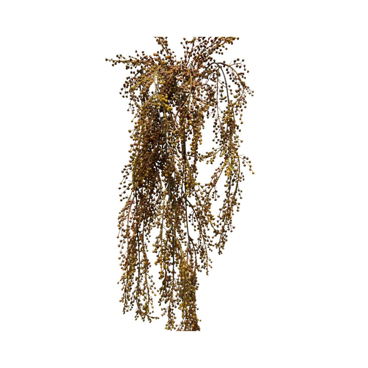 HANGING PEPPERBERRIES, BROWN