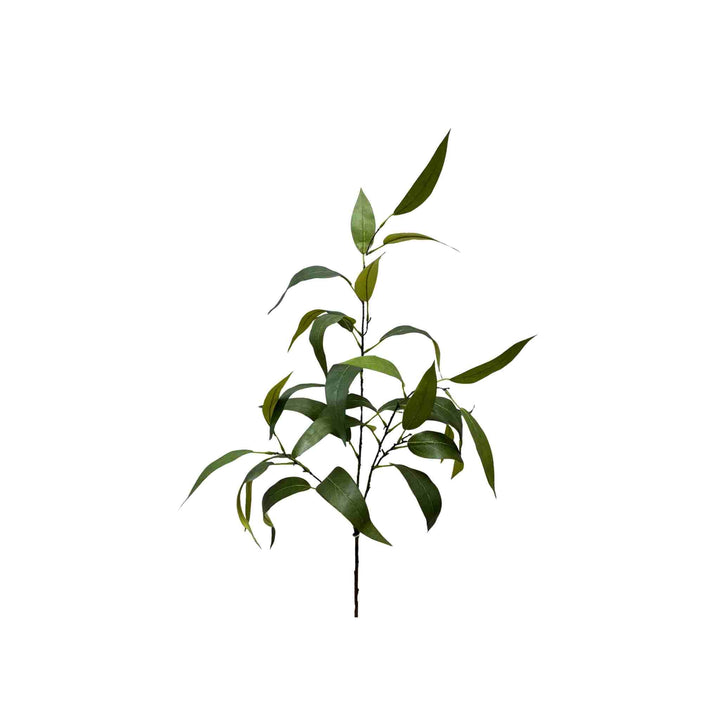 GLOBULUS EUCALYPTUS SPRAY, GREEN