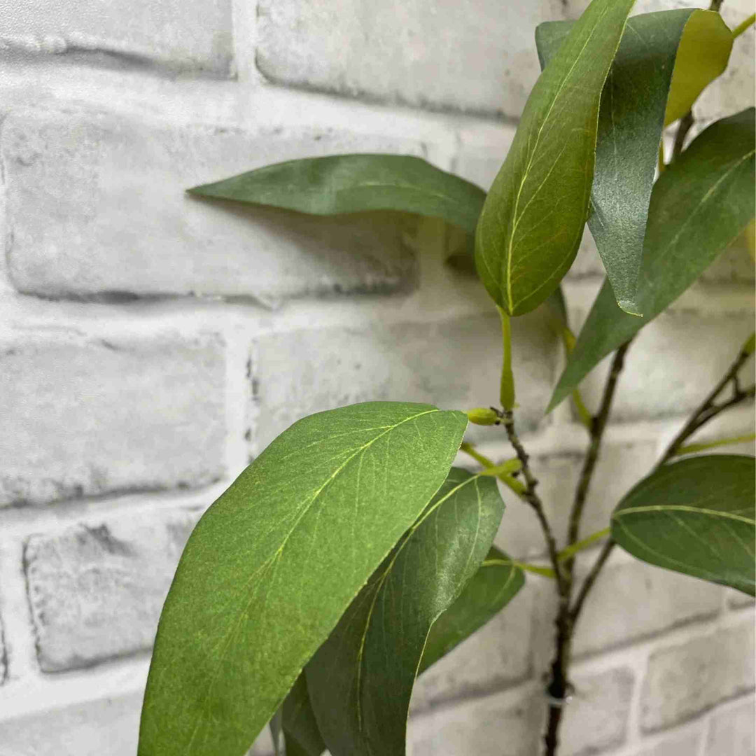 GLOBULUS EUCALYPTUS SPRAY, GREEN