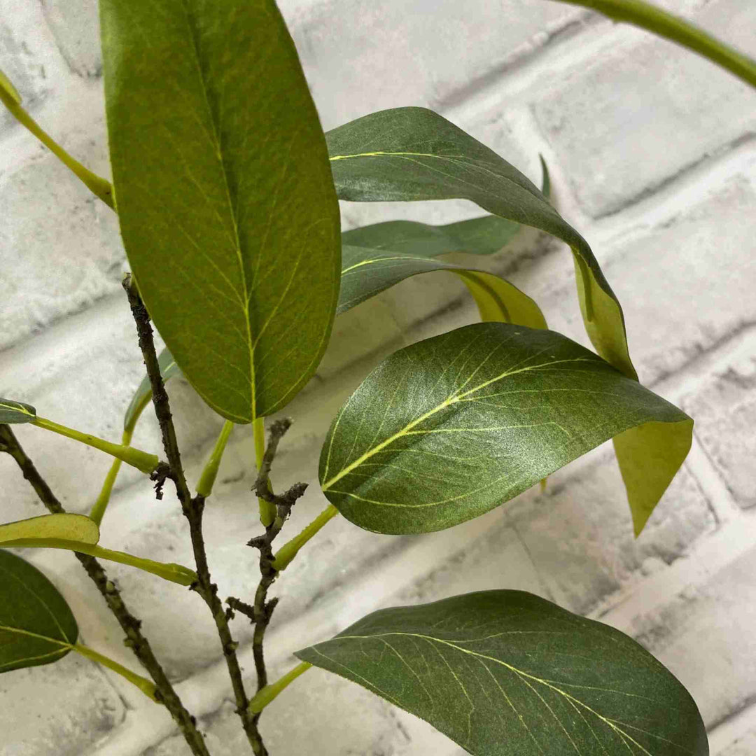 GLOBULUS EUCALYPTUS SPRAY, GREEN