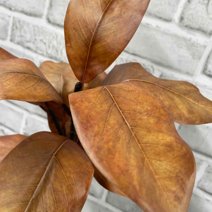 MAGNOLIA SPRAY, BROWN