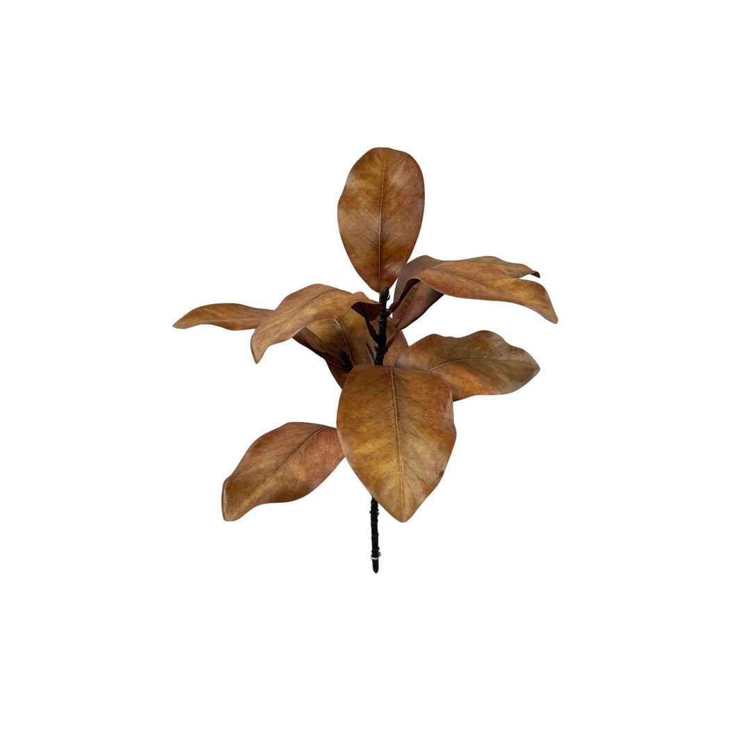 MAGNOLIA SPRAY, BROWN