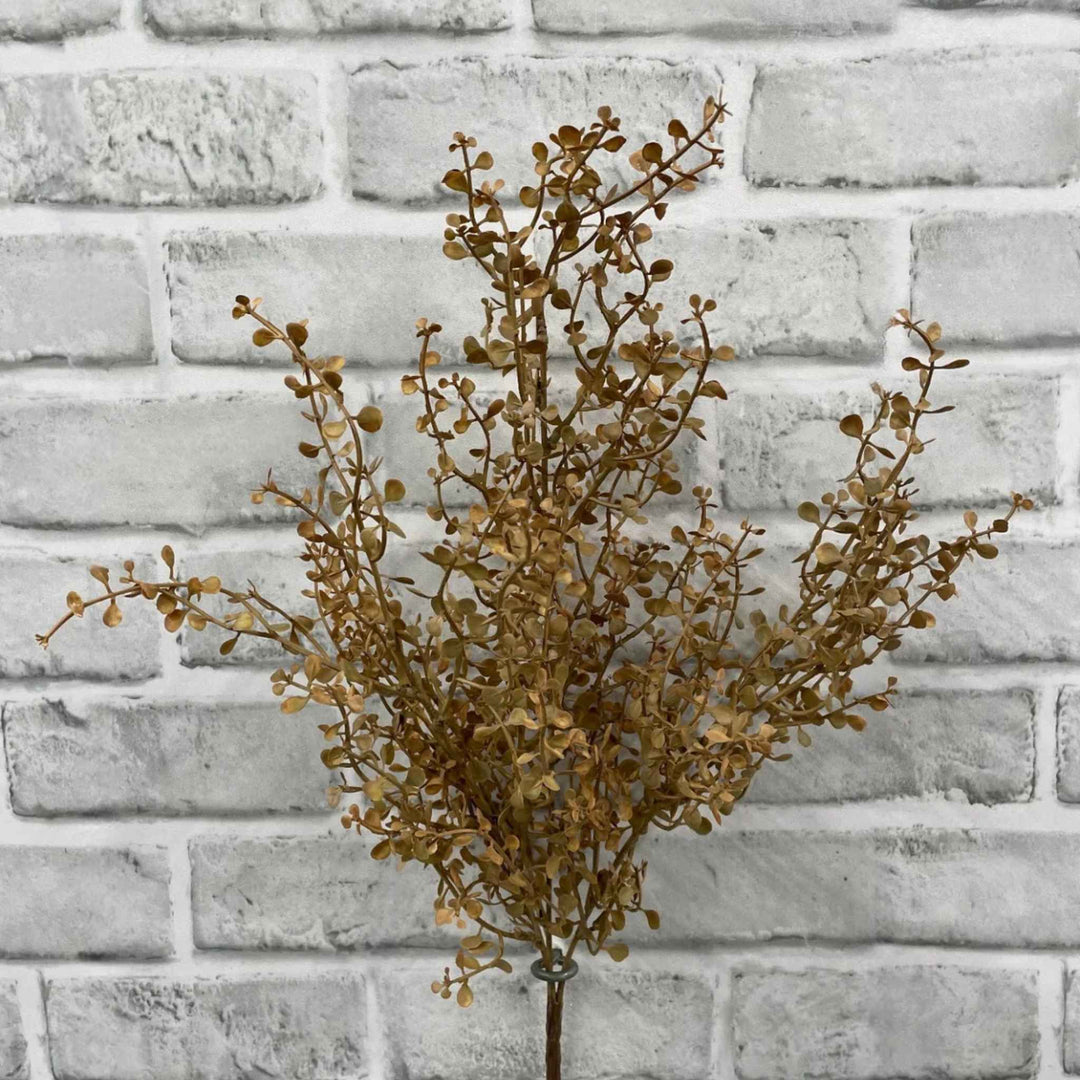 BABY TEARS SPRIG