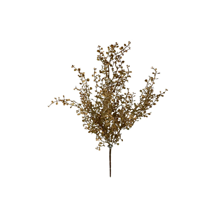BABY TEARS SPRIG