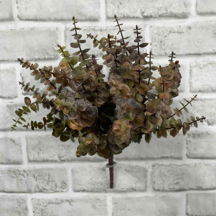 EUCALYPTUS SPRIG, BROWN