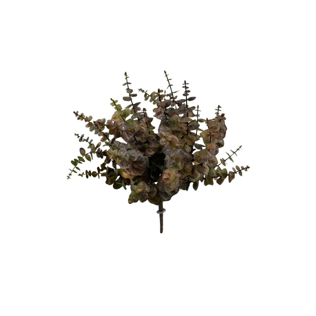 EUCALYPTUS SPRIG, BROWN