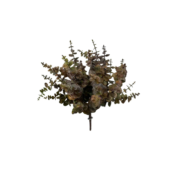 EUCALYPTUS SPRIG, BROWN
