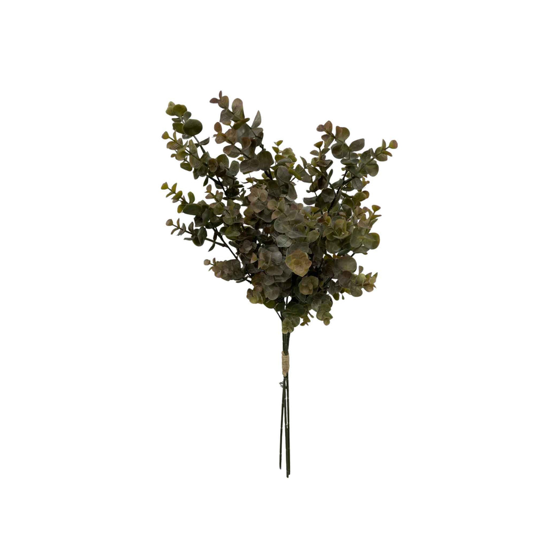 EUCALYPTUS BUNDLE, GREEN