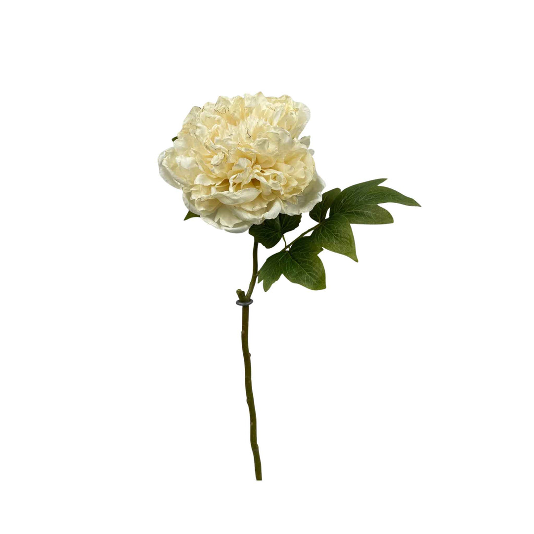 PEONY STEM, CREAM