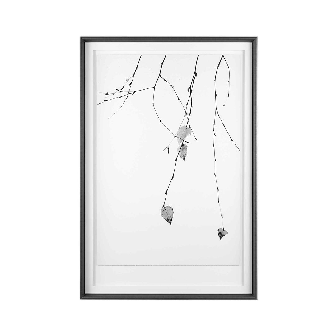 HANGING WILLOW FRAMED ART COLLECTION